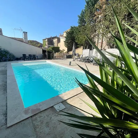 Velezia Studio